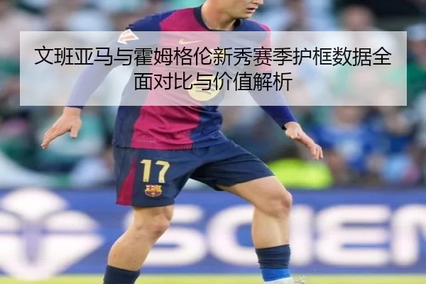 文班亚马与霍姆格伦新秀赛季护框数据全面对比与价值解析