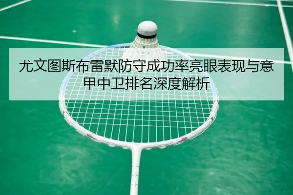 尤文图斯布雷默防守成功率亮眼表现与意甲中卫排名深度解析